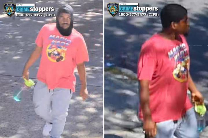 NYC sicko attempted to rape girl, 13, before attacking 15