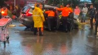 Árbol de 20 Metros Cae Sobre una Camioneta en Movimiento en Guadalajara