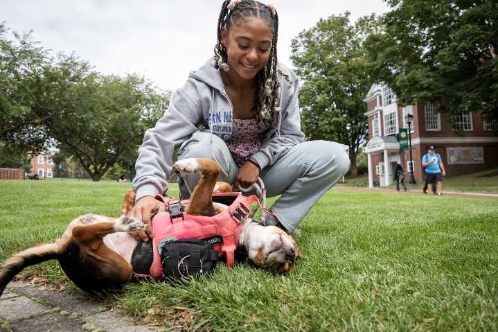 For some college students, emotional support animals provide comfort like nothing else