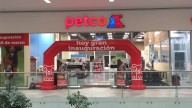 Realizan primer foro para regular exhibición de animales en venta