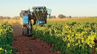 Gordoncillo celebra este domingo la llegada del otoño con la Fiesta de la Vendimia y de la Cosecha