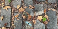 What Are the Mysterious Arrows Embedded in Cobblestones Along Riverside Drive Pointing To?