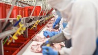 El porcino, expectante y en "compás de espera comercial" en el primer día con nuevos aranceles chinos