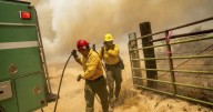 Forest service reverses decades-long ban, allows wildfire firefighters to use N95 masks