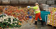 Encuesta sobre el Desperdicio de Alimentos indica que el pan, las frutas y las verduras son los más desechados por los chilenos