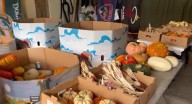 Fall home decor service craze comes to Colorado