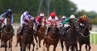 'She can bounce out and make all the running' – Jason Heavey's racing tips