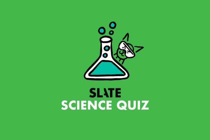 Which Nerve Is Primarily Responsible for Triggering a Sneeze?