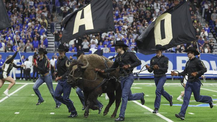 Colorado football mascot Ralphie VII set for debut vs. Wyoming