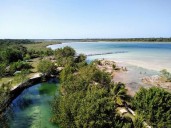 “LA SELVA ESTÁ CADA VEZ MÁS AMENAZADA”: Exigen activistas mayor protección a la biodiversidad del Área Natural Protegida Felipe Carrillo Puerto