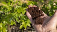The Tempting Health Supplement You Should Never Use As Fertilizer