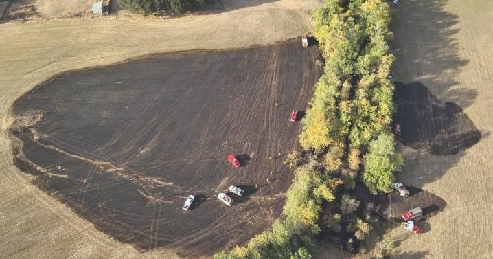 Angry bees sting Lebanon firefighters while battling fire