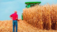 La difícil situación que enfrentan los agricultores en EE.UU. pone a prueba su apoyo a Trump