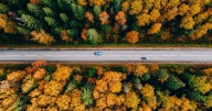 Traffic deaths drop 8% in first half of 2025 despite more travel, federal data shows