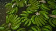 Exportaciones de frutas crecieron 13,4 por ciento en Colombia