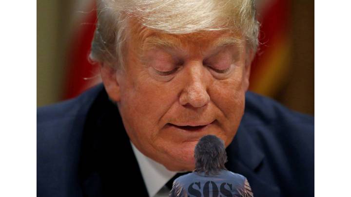 Milei logró reunión con Trump: Un pedido de rescate en el vendaval