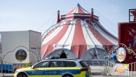 Muere una acróbata española de 27 años tras caer desde un trapecio en un circo alemán en Sajonia