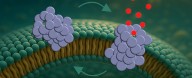 Protein That Pokes Holes in Cells Could Explain Parkinson's Decline