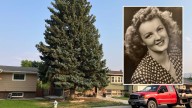 Why A Huge Blue Spruce In Casper Neighborhood Is ‘Maxine’s Tree'