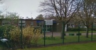 School infestation horror as mice 'found in bags' and 'flies swarm Edinburgh building'