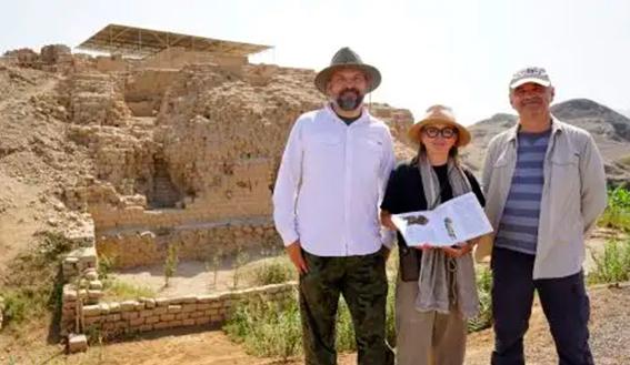 Arqueólogos hallan restos de cuyes asociados a la vida cotidiana en el Castillo de Huarmey