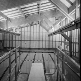 Celebrate 50 Years of Meadowbrook Pool!