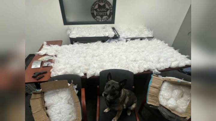 Incautación de drogas en vivienda en San José – Telemundo Area de la Bahía 48