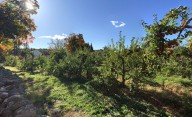 Mass. apple orchard voted 2nd best in the country