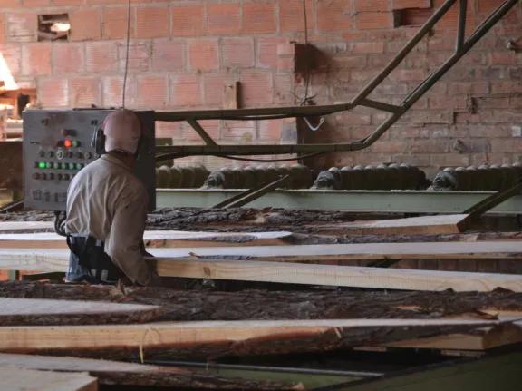 Se vendió Celulosa Argentina que también controla la forestadora Tapebicuá