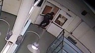 Man accused of stealing 10-week-old puppy from Humane Society of Broward County – NBC 6 South Florida