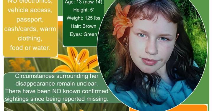 One year since New Sweden teen was reported missing