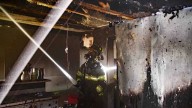 Nine pets die in South Carolina house fire
