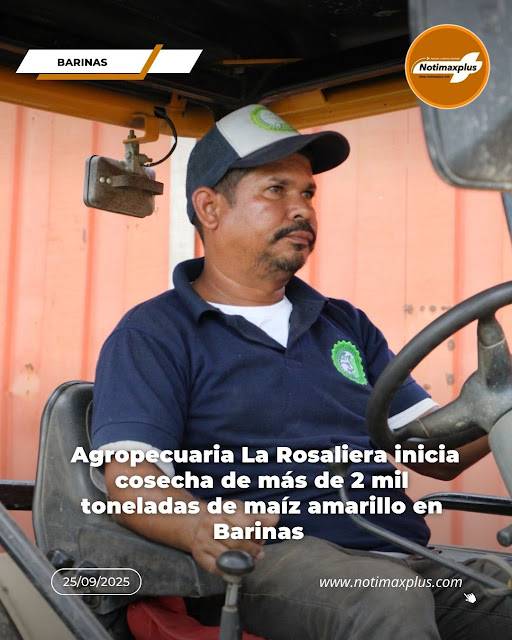 Agropecuaria La Rosaliera inicia cosecha de más de 2 mil toneladas de maíz amarillo en Barinas