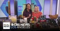 Products for the fall season