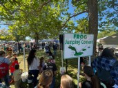 Massachusetts town's frog jumping contest captures small