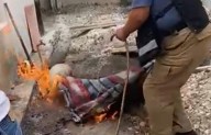 Sufre quemaduras adulto mayor al intentar acabar con pulgas con mechón de gas