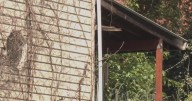 Residents across Pennsylvania dealing with absentee landlords