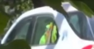 US Government employee caught picking up sex worker in company vehicle in viral clip