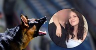 Adolescente muere tras ser atacada por el perro de su amiga en Australia