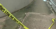 Miami deadly crash victim identified