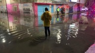 Saldo de las Lluvias en la CDMX: 47 Encharcamientos, 21 Árboles Caídos y Una Barda Desplomada