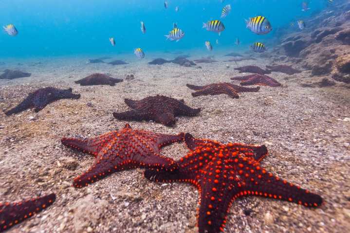 Asking Eric: Dad who leaves daughter unattended at his work is causing hurt feelings, and hurt sea life