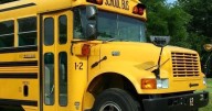 5 children, 1 adult injured after two school buses crash in Freeborn County