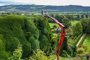 300-year-old hedges trimmed using cherry picker