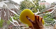 UK households told to smear washing up liquid over windows this October