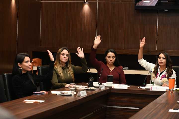 Emiten diputados terna para titular de CODHEM