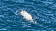 1 dead, another missing after boat capsizes off Oregon Coast