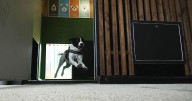 Rome's airport opens luxurious dog hotel with pampering services