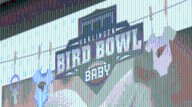 Chick this out: First born on Harlingen Hatch Day to be named Bird Bowl baby