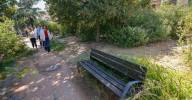 El PSOE exige una intervención urgente en los jardines de calle Goleta, convertidos en una "selva"